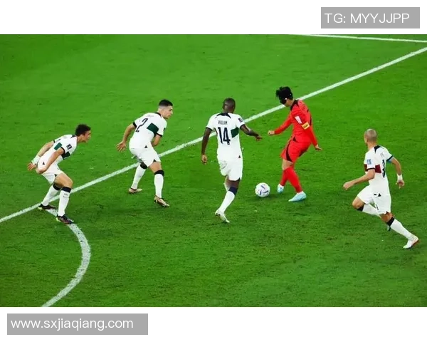 广州排球队战术解析：构建高效控制体系的成功之道